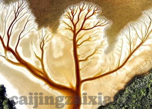 精品久久人妻av中文字幕-精品久久人妻，探索真实情感与文化交融的细腻画卷